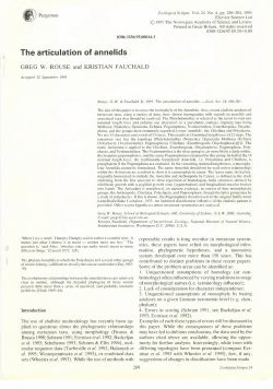 as a PDF
