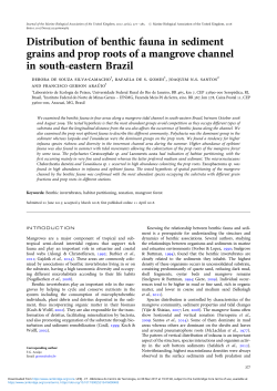 Distribution of benthic fauna in sediment grains and prop roots