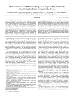 Study of Structural and Thermal Changes in Endosperm of