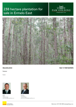 238 hectare plantation for sale in Ermelo East