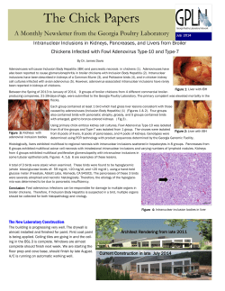 The Chick Papers - Georgia Poultry Lab