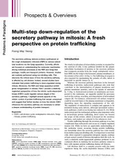 Multistep downregulation of the secretory pathway in mitosis: A fresh