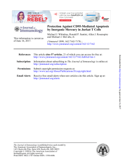 by Inorganic Mercury in Jurkat T Cells Protection Against CD95