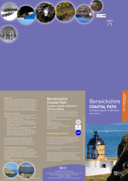 Berwickshire Coastal Path