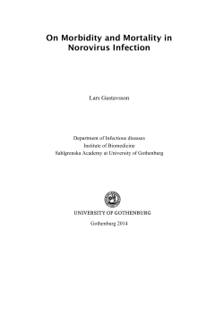 On Morbidity and Mortality in Norovirus Infection