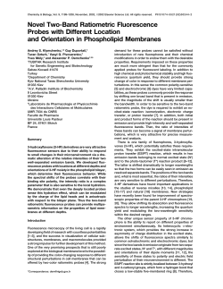 Novel Two-Band Ratiometric Fluorescence Probes with Different