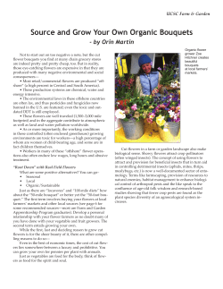 Source and Grow Your Own Organic Bouquets