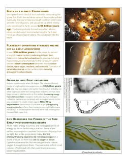 7 History of life timeline cards