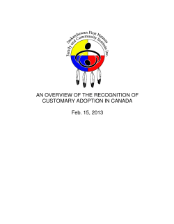 AN OVERVIEW OF THE RECOGNITION OF CUSTOMARY