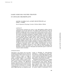 light-induced volume changes in spinach chloroplasts