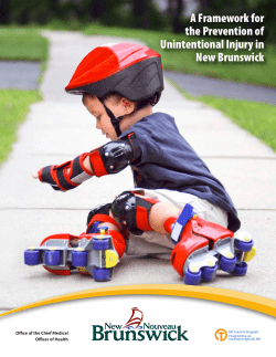 A Framework for the Prevention of Unintentional Injury in New