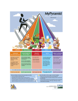 My Food Pyramid information