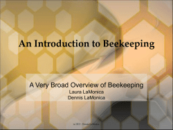 An Introduction to Beekeeping
