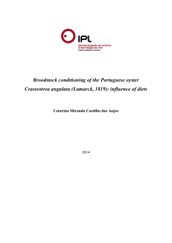Broodstock conditioning of the Portuguese oyster - IC