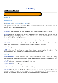 Glossary