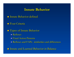 Innate Behavior