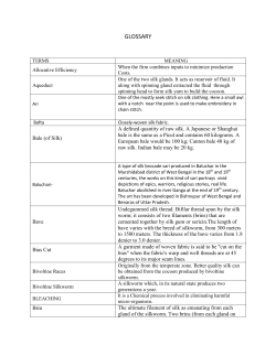 glossary - Shodhganga