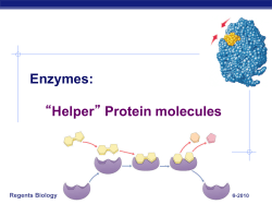 Enzymes: &ldquo;Helper&rdquo; Protein molecules