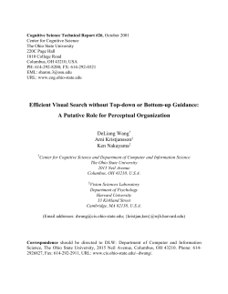 Efficient Visual Search without Top-down or Bottom