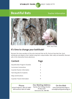 Beautiful Bats - Stanley Park Ecology Society