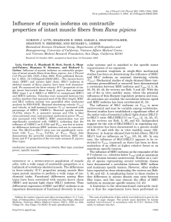 Influence of myosin isoforms on contractile properties of intact