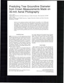 Predicting Tree Groundline Diameter from Crown