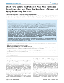 Short-Term Calorie Restriction in Male Mice