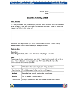 Enzyme Activity Sheet