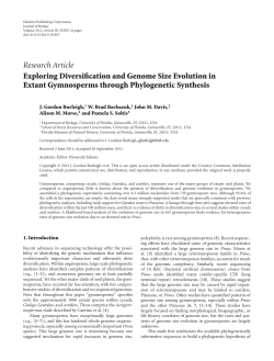 Exploring Diversification and Genome Size Evolution in Extant