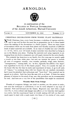 Christmas Decorations from Woody Plant Materials