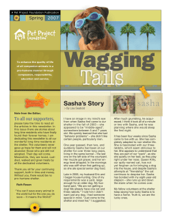 Sasha`s Story - Pet Project Foundation