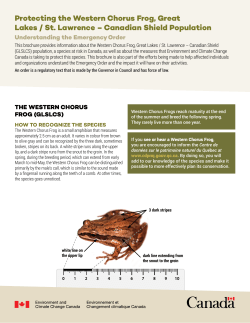 Protecting the Western Chorus Frog, Great Lakes / St. Lawrence