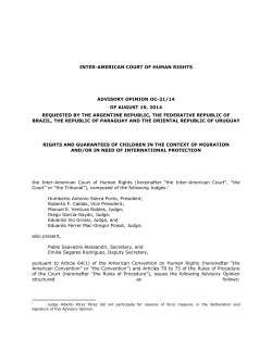 Advisory Opinion 21/14 - Corte Interamericana de Derechos Humanos