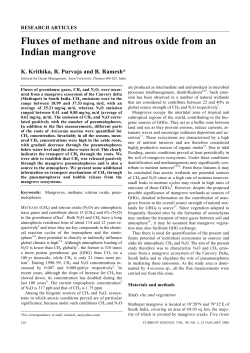 Fluxes of methane and nitrous oxide from an Indian mangrove