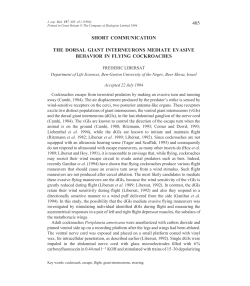 405 short communication the dorsal giant interneurons mediate