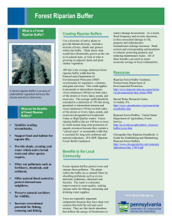 Forest Riparian Buffer