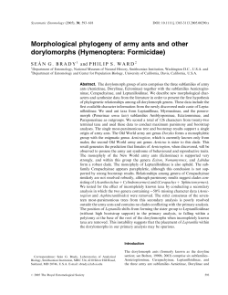 Morphological phylogeny of army ants and other dorylomorphs