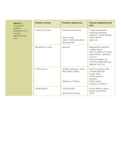 Predator activity Predator adaptations Counter