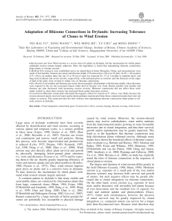 Adaptation of Rhizome Connections in Drylands