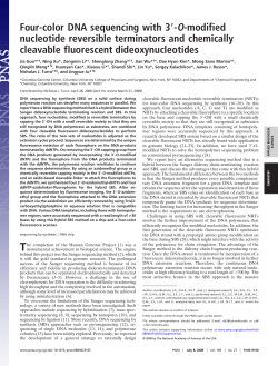 Four-color DNA sequencing with 3 -O-modified nucleotide reversible