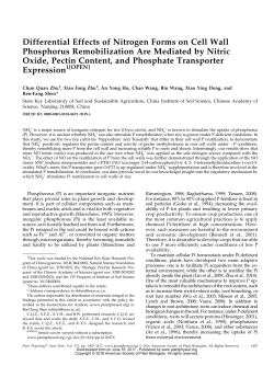 Differential Effects of Nitrogen Forms on Cell Wall