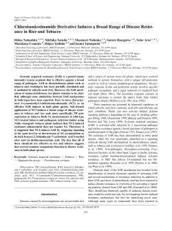 ance in Rice and Tobacco