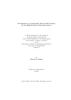 Development of a Gamma-Ray Beam Profile Monitor for the High