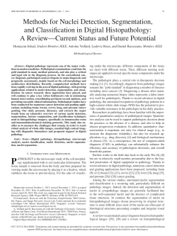 Methods for Nuclei Detection, Segmentation, and Classification in