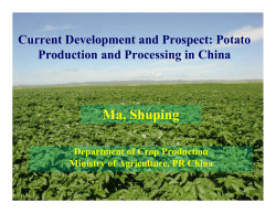 Current Development and Prospect: Potato Production and
