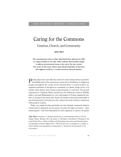 Print this article - New Theology Review