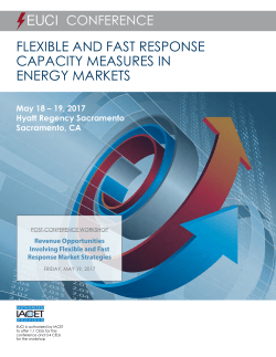 flexible and fast response capacity measures in energy markets