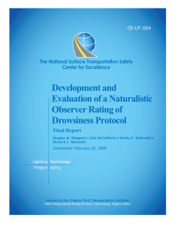 Development and Evaluation of a Naturalistic