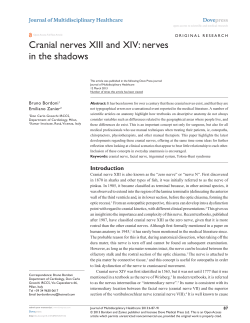 Cranial nerves XIII and XIV: nerves in the shadows