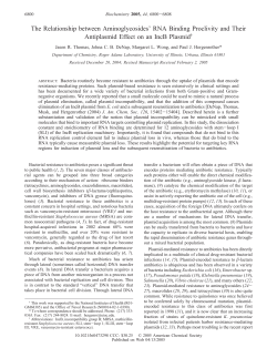 The Relationship between Aminoglycosides` RNA Binding Proclivity